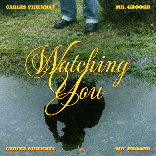 Watching you - Carles Pibernat, Mr. Groosh
